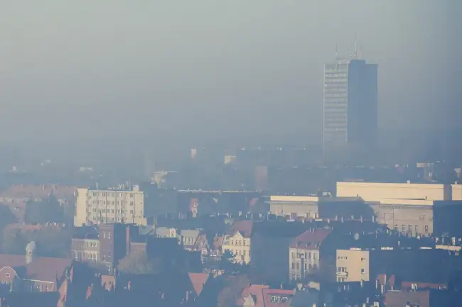 Smog w polskich miastach